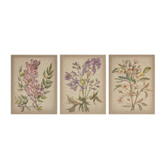 Linen Botanicals Illustration 3-piece Canvas Wall Art Set