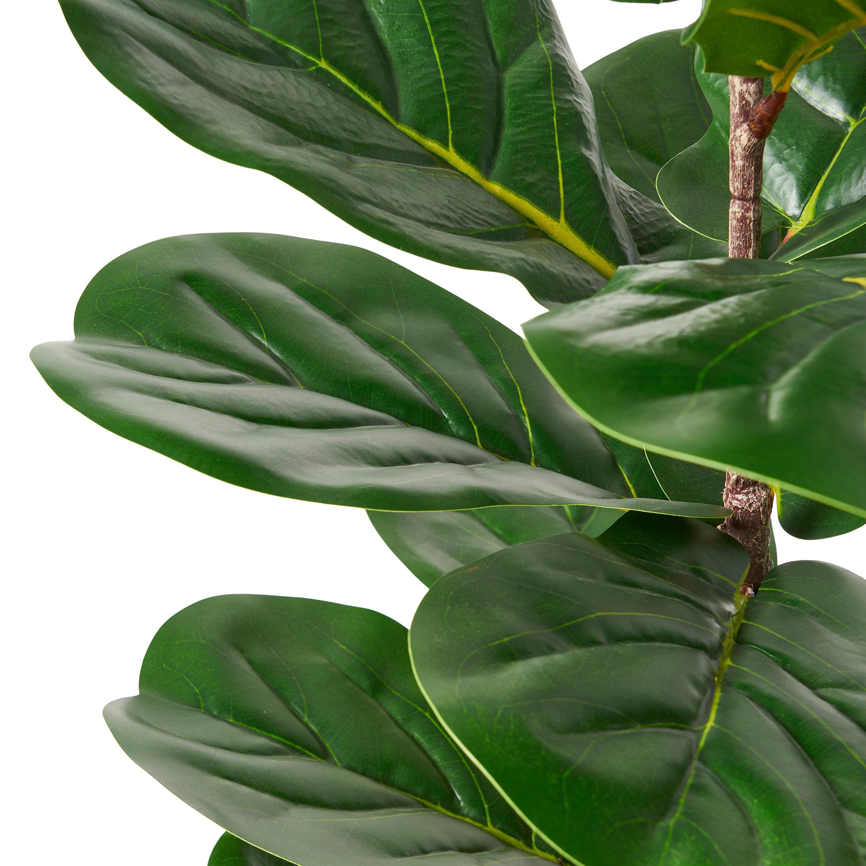 ARTIFICIAL FIDDLE LEAF FIG TREE