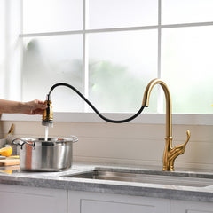 Gold Kitchen Faucet with Pull Down Sprayer Brushed Gold