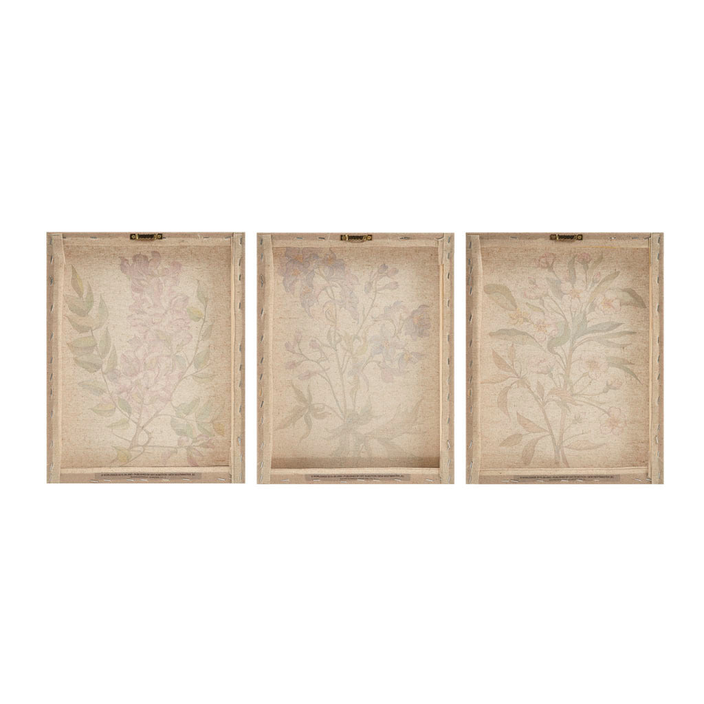 Linen Botanicals Illustration 3-piece Canvas Wall Art Set