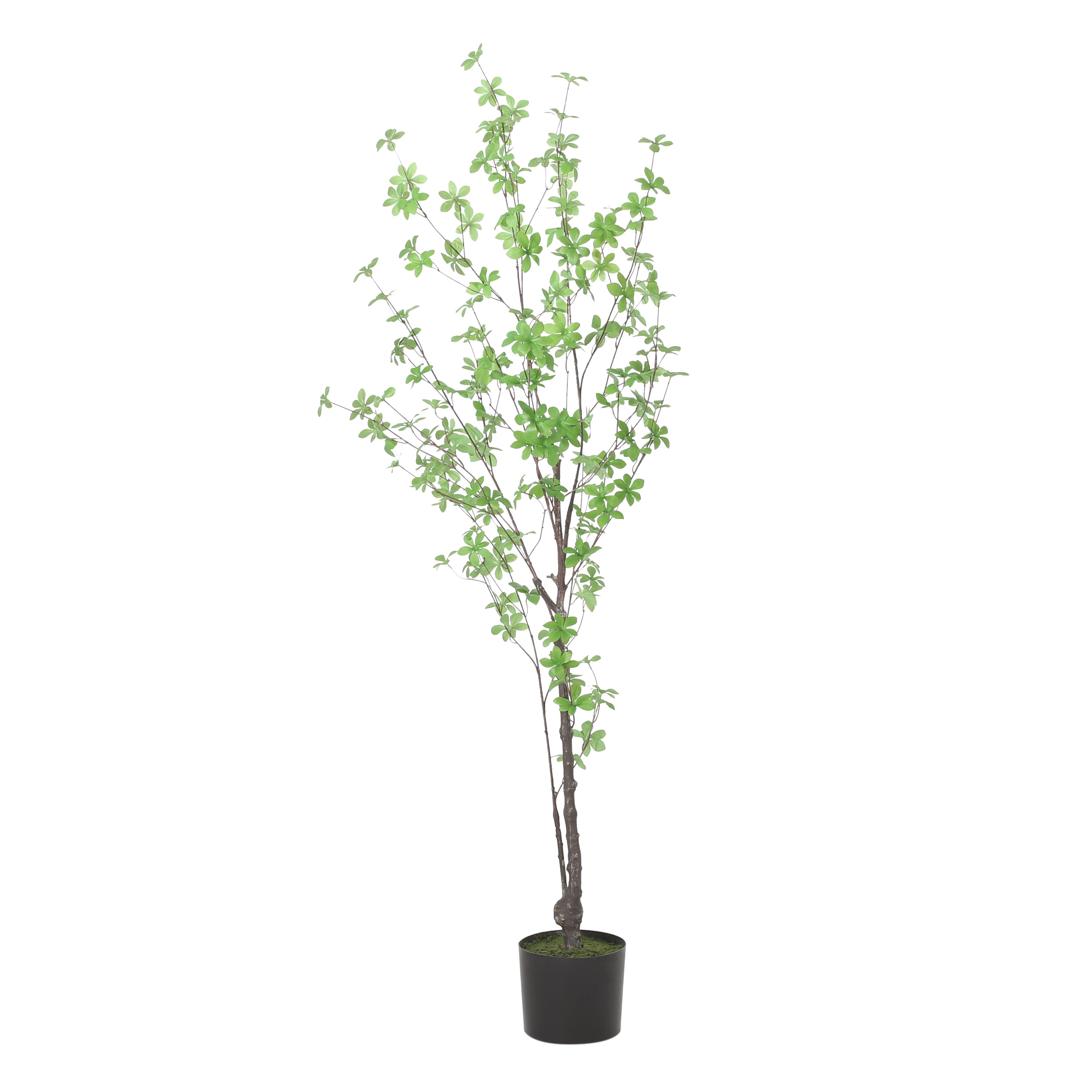 ARTIFICIAL DISC LEAF TREE