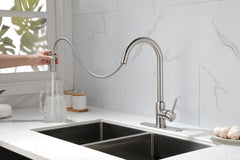 Kitchen Faucet with Pull Down Sprayer - Brushed Nickel