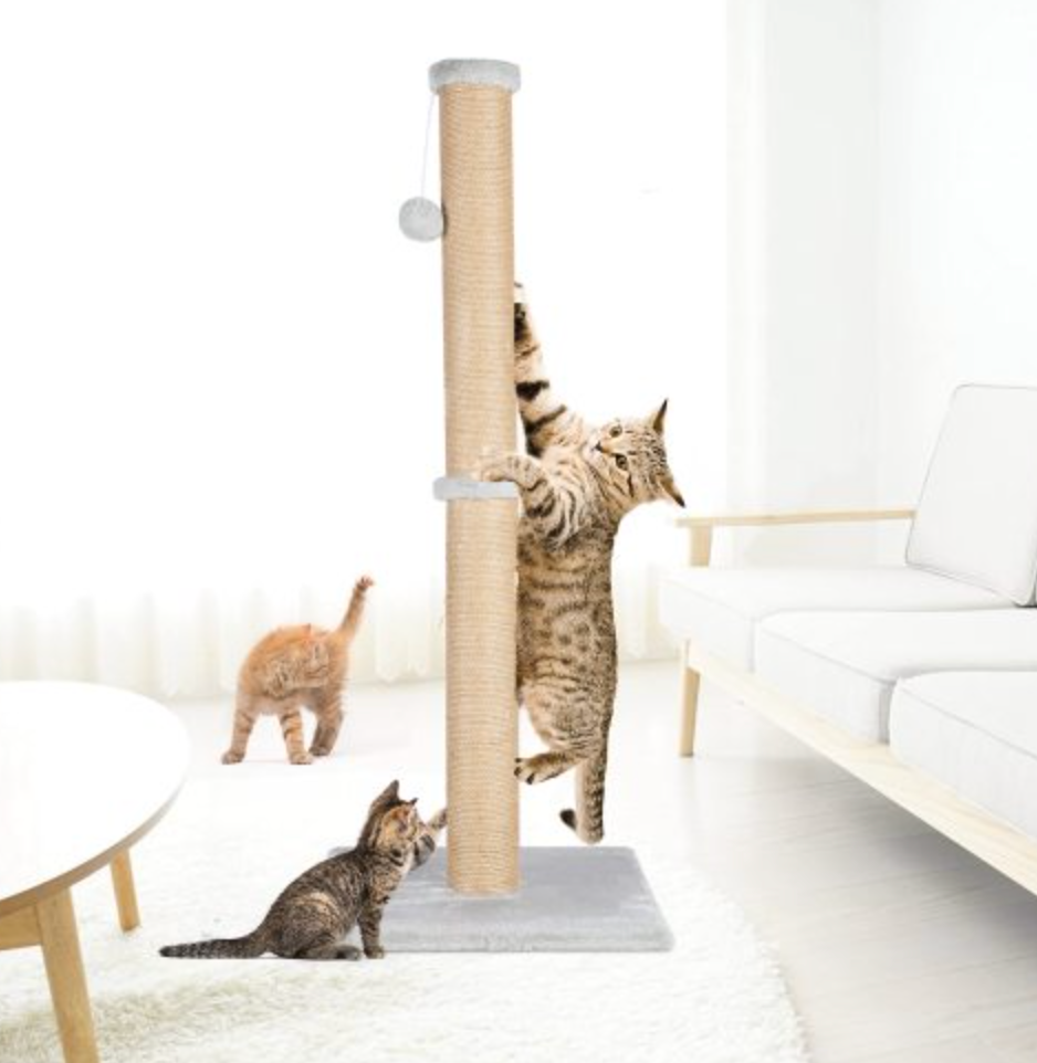 37'' Cat Scratching Post, Natural Sisal Rope Scratcher with Dangling Teaser Ball and Covered with Soft Plush for Kittens and Adult Cats, Sand Color