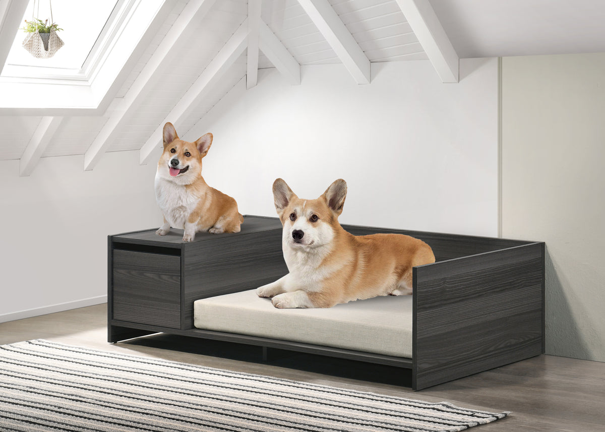 Ash Gray 47" Wide Modern Comfy Pet Bed with Cushion and Side Storage Compartment