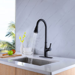 Round Pull Out Kitchen Faucet with Cover - Matte Black