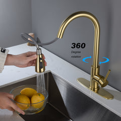 Kitchen Faucet with Pull Out Sprayer - Gold