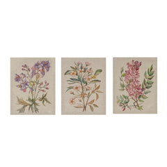 Linen Botanicals Illustration 3-piece Canvas Wall Art Set