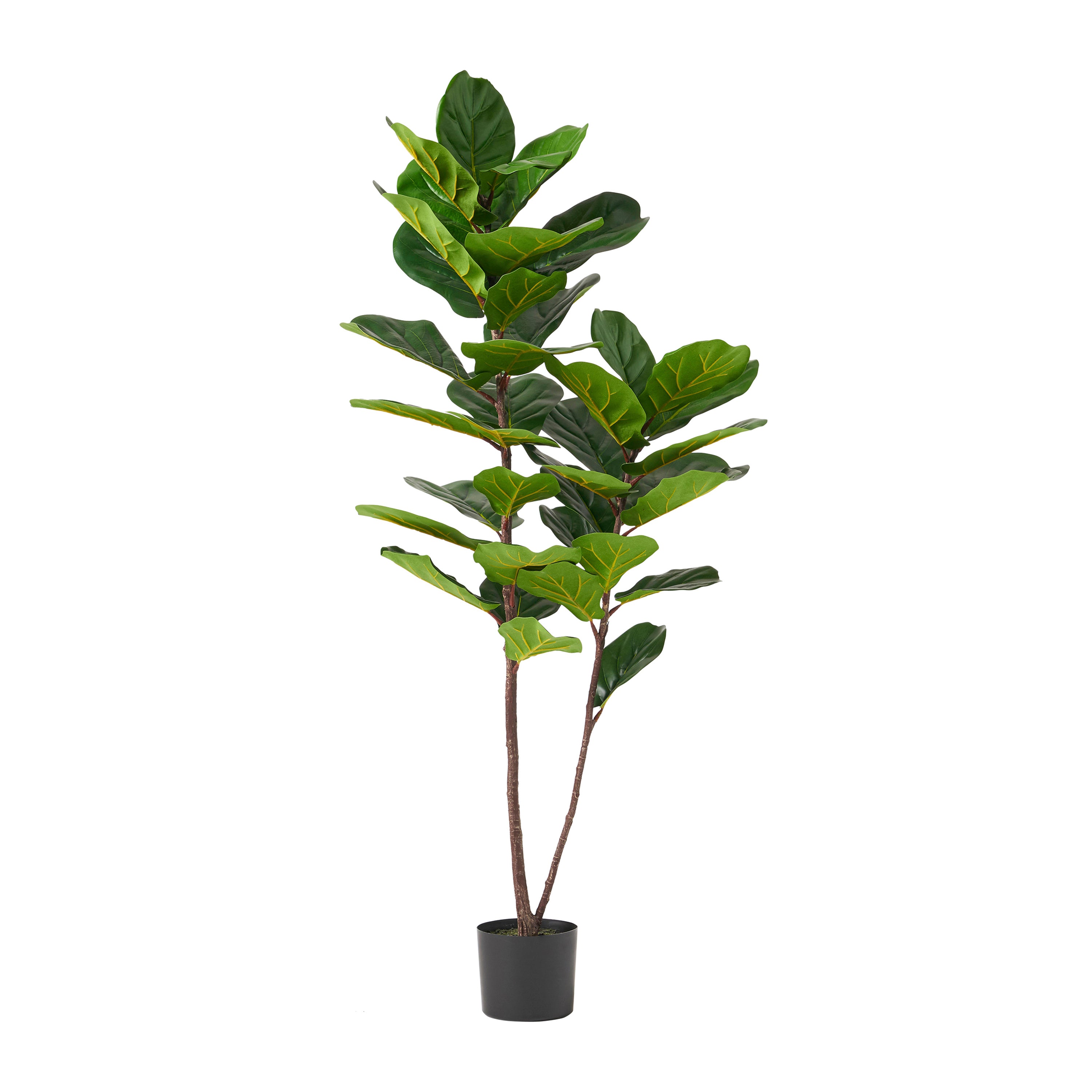 ARTIFICIAL FIDDLE LEAF FIG TREE