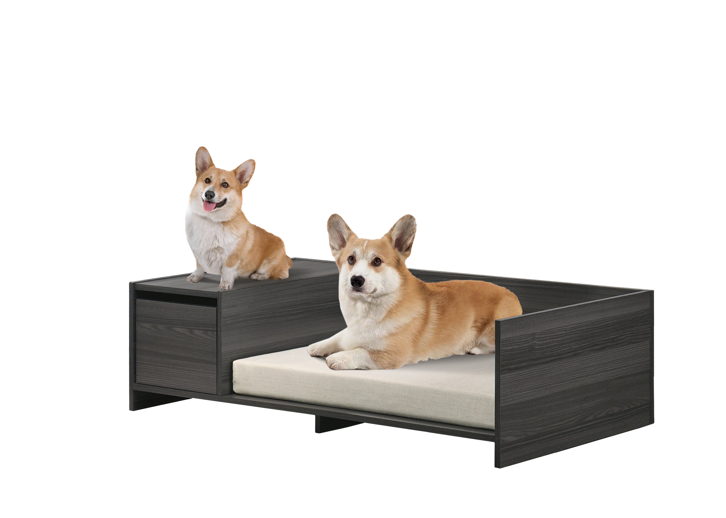 Ash Gray 47" Wide Modern Comfy Pet Bed with Cushion and Side Storage Compartment