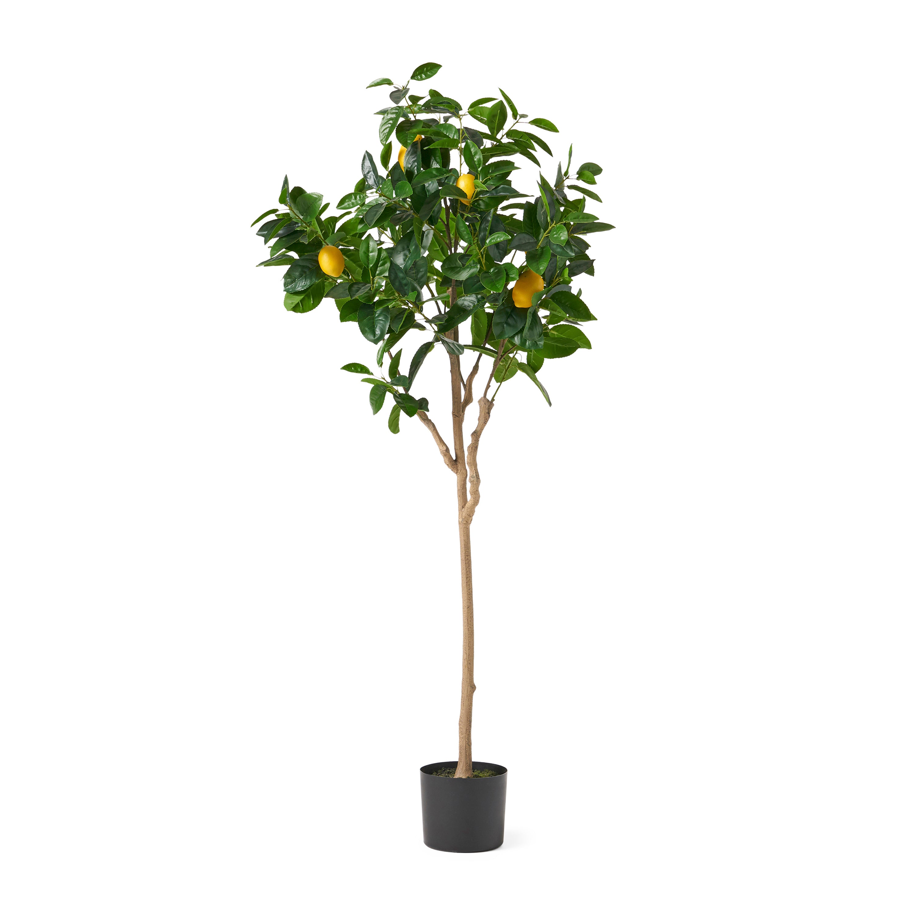 ARTIFICIAL LEMON TREE