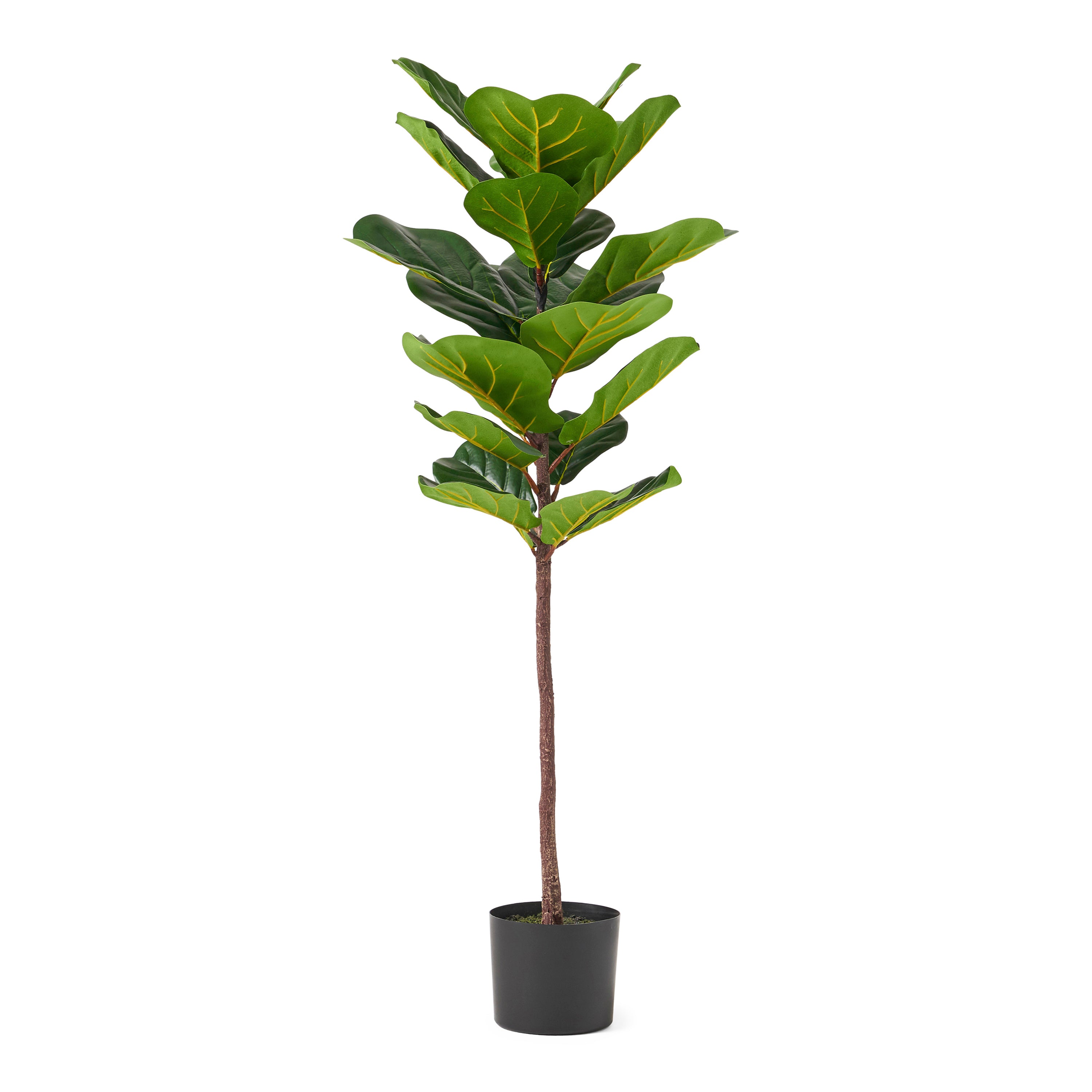 ARTIFICIAL FIDDLE LEAF FIG TREE