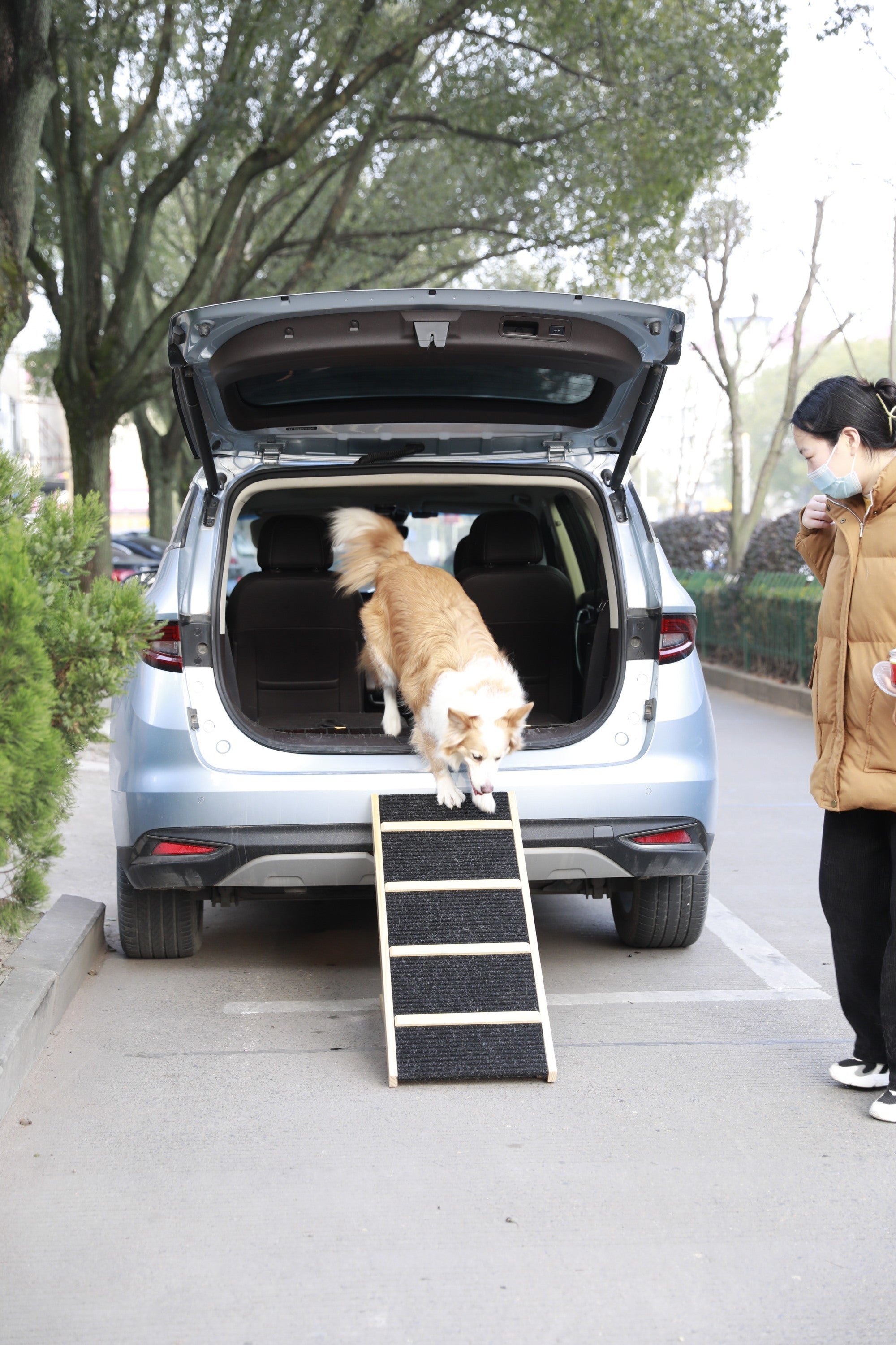 Tall Adjustable Pet Ramp, Folding Portable Wooden Non-Slip Paw Traction Adjustable Height from 9.3" to 24"