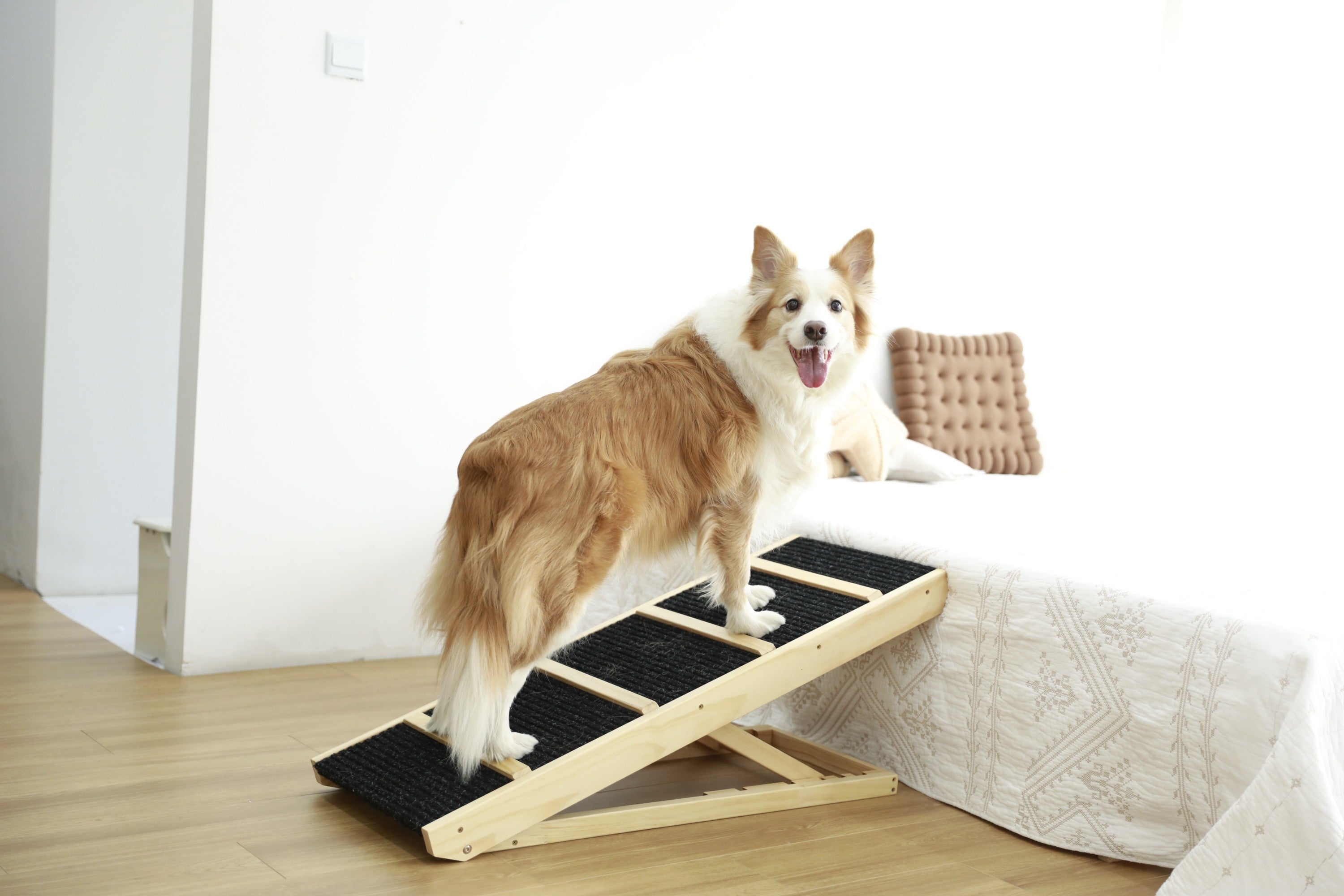 Tall Adjustable Pet Ramp, Folding Portable Wooden Non-Slip Paw Traction Adjustable Height from 9.3" to 24"