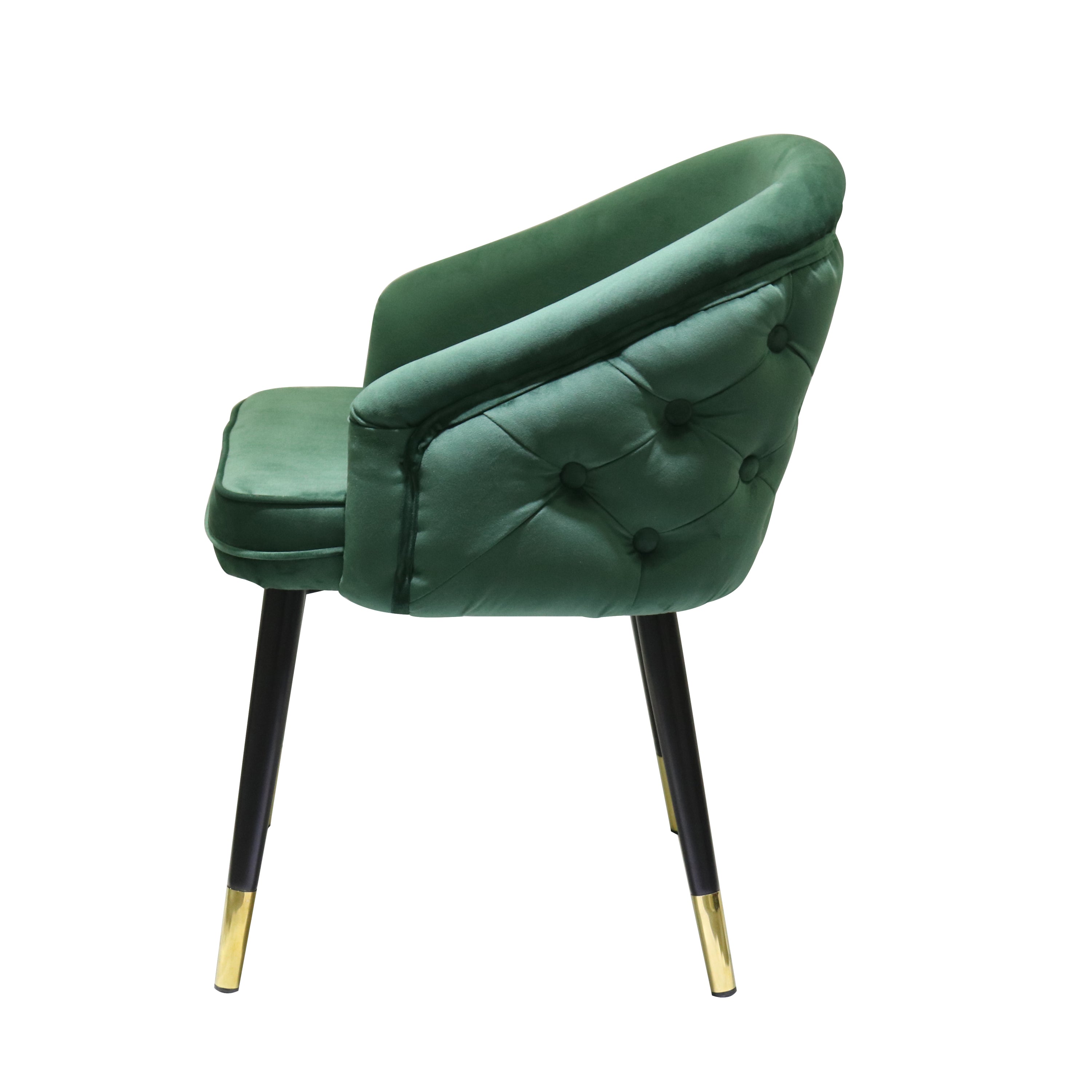 Contemporary Green & Black/Gold Dining Chair (Set of 2)